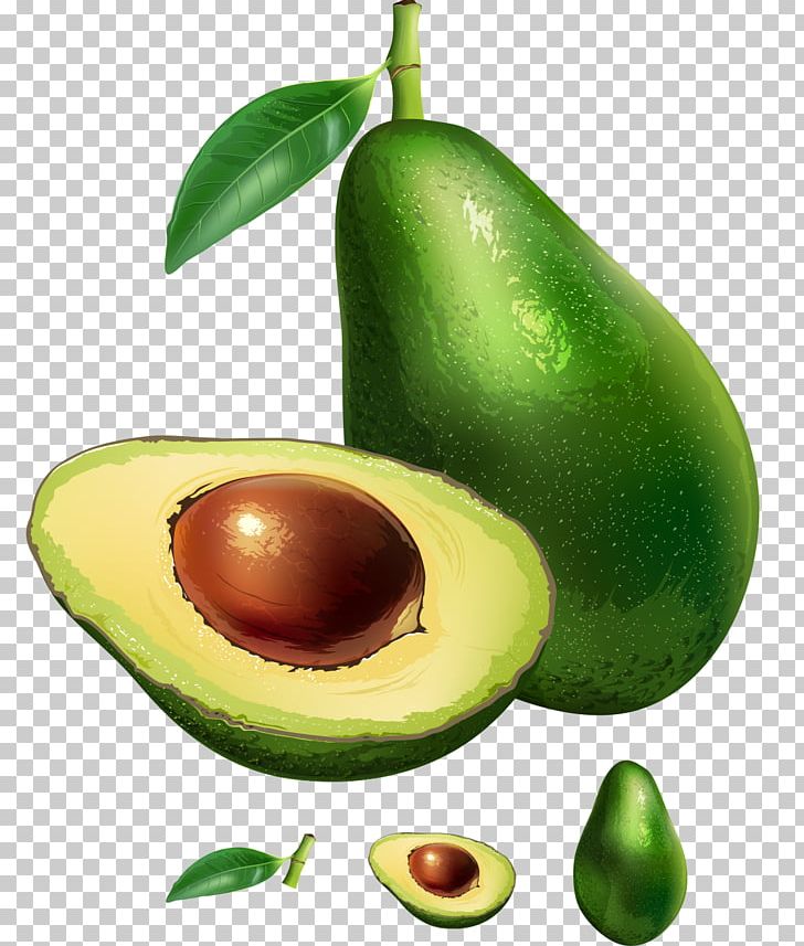 Avocado Stock Photography Illustration PNG, Clipart, Avocado, Euclidean Vector, Food, Fruit, Fruit Nut Free PNG Download