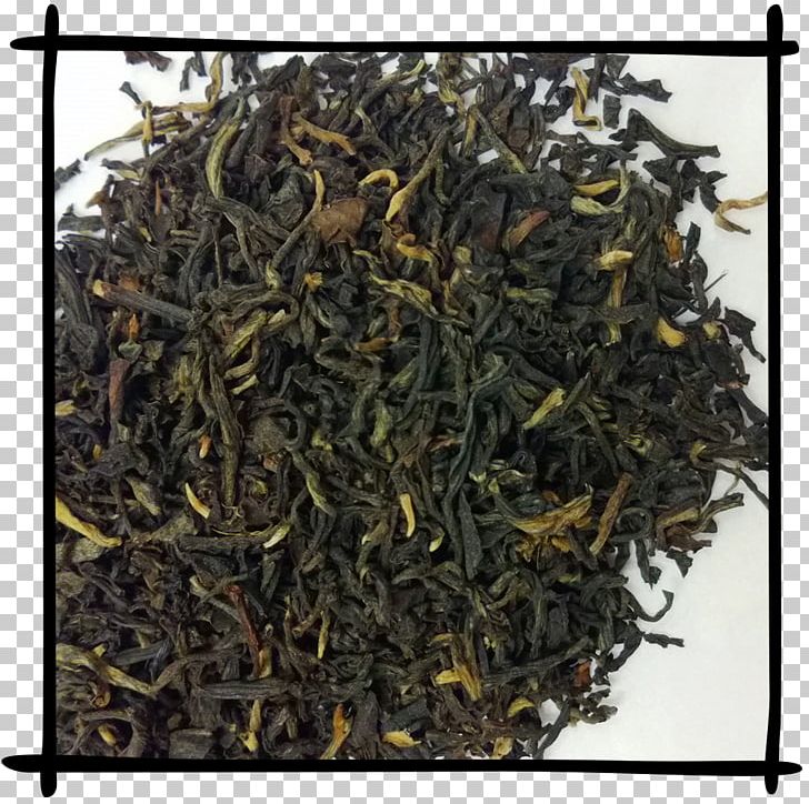 Lapsang Souchong Nilgiri Tea Darjeeling Tea Earl Grey Tea PNG, Clipart, Assam Tea, Baihao Yinzhen, Bai Mudan, Bancha, Biluochun Free PNG Download