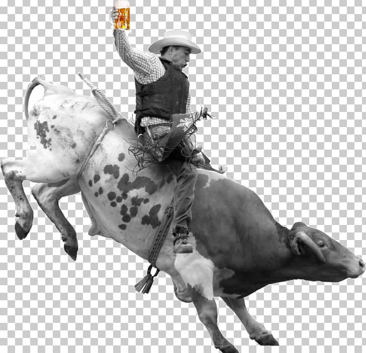 Rodeo Bull Riding Cattle Cowboy PNG, Clipart, Animals, Animal Sports, Band, Bar, Black And White Free PNG Download