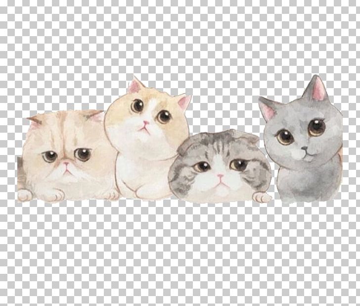 Cat IPhone Paper Kitten PNG, Clipart, American Wirehair, Animals, Carnivoran, Cartoon, Cat Like Mammal Free PNG Download