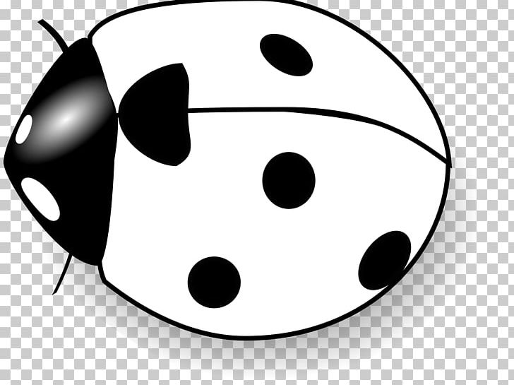 Ladybird Beetle Drawing PNG, Clipart, Artwork, Beetle, Black, Black And White, Blog Free PNG Download