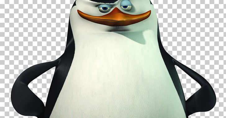 Penguin Madagascar Skipper Animation Film PNG, Clipart, 1080p, Allegri, Animals, Animation, Beak Free PNG Download