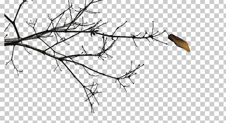 Twig Black And White Branch PNG, Clipart, Angle, Artwork, Black, Black And White, Branch Free PNG Download