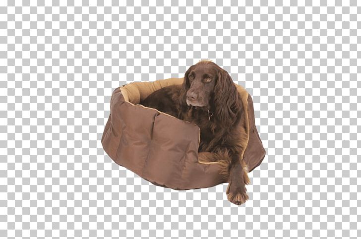 Dog Breed Pet Joy PNG, Clipart, Basket, Bed, Breed, Dog, Dog Bed Free PNG Download