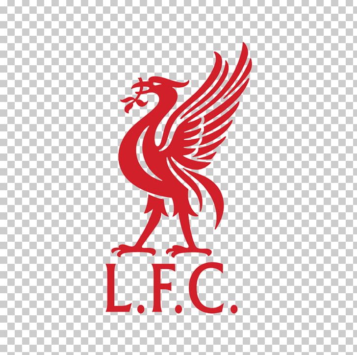 Liverpool F.C. Liverpool L.F.C. Premier League Brazil National Football Team PNG, Clipart, Brazil National Football Team, F.c. Liverpool, Liverpool F.c., Liverpool L.f.c., Premier League Free PNG Download