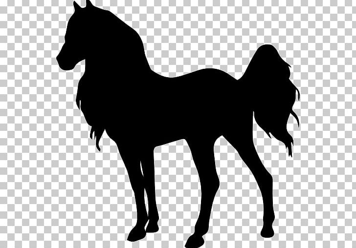Silhouette Mustang Pony PNG, Clipart, Animals, Black, Black And White, Colt, Computer Icons Free PNG Download