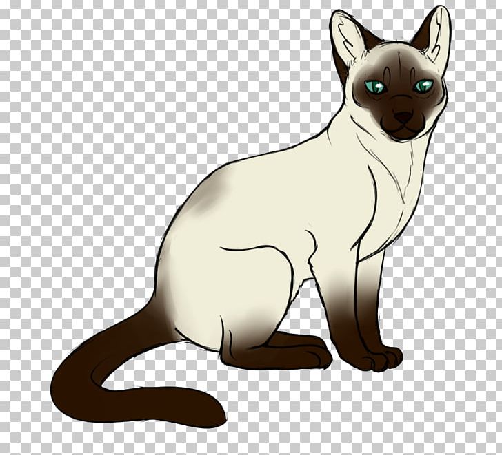Whiskers Kitten Red Fox Cat PNG, Clipart, Animals, Carnivoran, Cat, Cat Like Mammal, Dog Like Mammal Free PNG Download