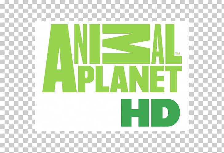 Animal Planet HD High-definition Television Logo Discovery Channel PNG, Clipart, Animal Planet, Animal Planet Hd, Area, Brand, Discovery Channel Free PNG Download