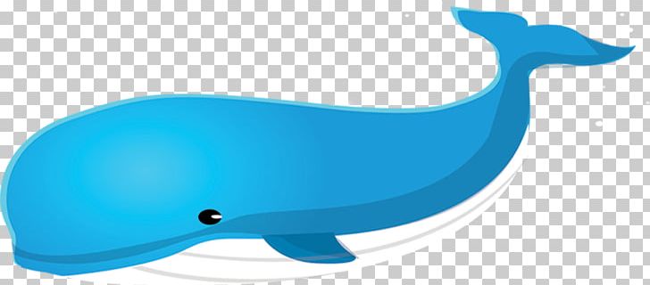 Dolphin Porpoise Marine Biology PNG, Clipart, Angle, Animals, Biology, Blue, Cartoon Whale Free PNG Download
