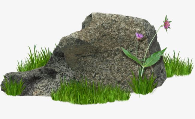 Weeds And Stones PNG, Clipart, Grass, Meadow, Stone, Stones Clipart, Weeds Clipart Free PNG Download