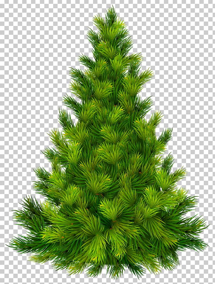 Christmas Tree Christmas Ornament PNG, Clipart, Biome, Christmas, Christmas Decoration, Christmas Ornament, Christmas Tree Free PNG Download