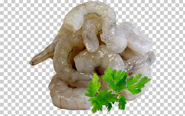 Shrimp And Prawn As Food Caridea Giant Tiger Prawn PNG, Clipart, Animals, Animal Source Foods, Caridea, Cutlet, Dish Free PNG Download