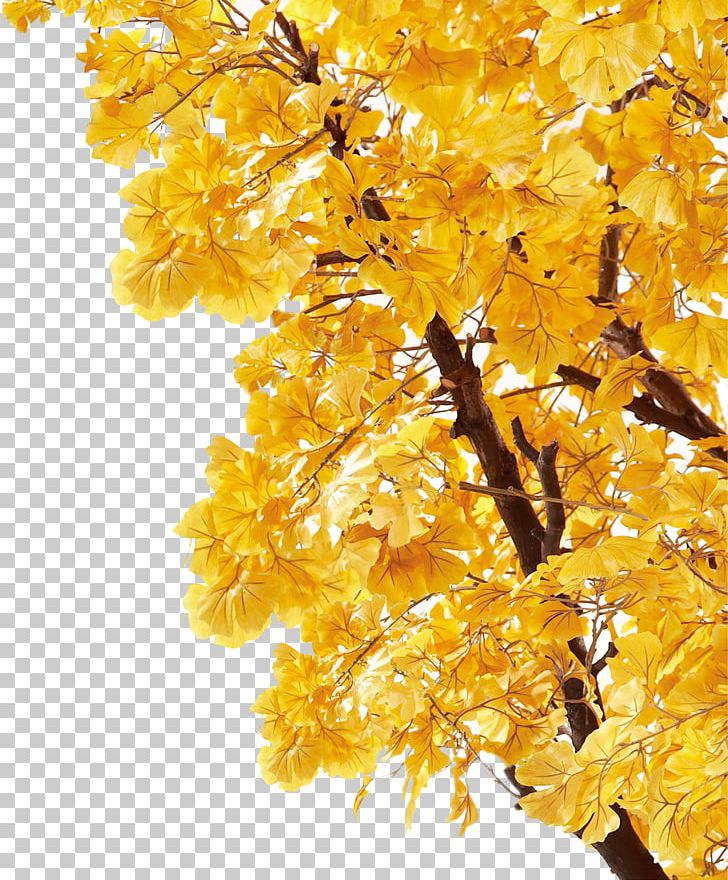 Autumn Yellow Leaf Deciduous Poster PNG, Clipart, Autumn, Autumn Tree, Autumn Vector, Blue, Branch Free PNG Download