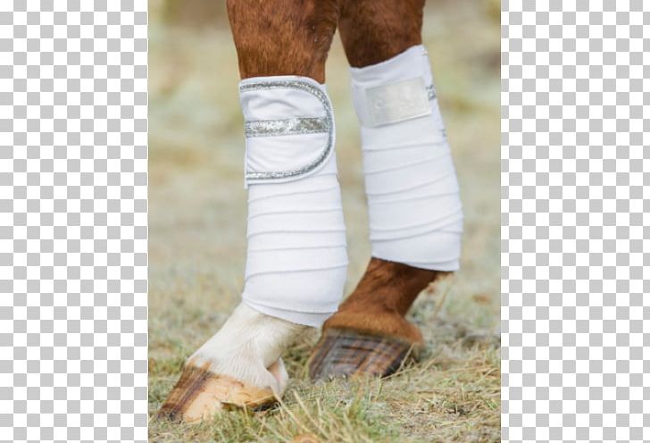 Calf Horse Bandage Ankle Knee PNG, Clipart, Animals, Ankle, Arm, Bandage, Bandages Free PNG Download