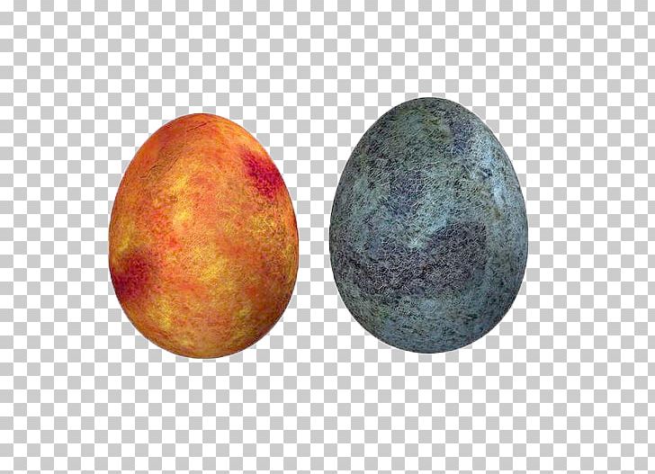 Chicken Or The Egg Dinosaur Egg PNG, Clipart, Biologist, Biology, Bird, Chicken, Chicken Or The Egg Free PNG Download