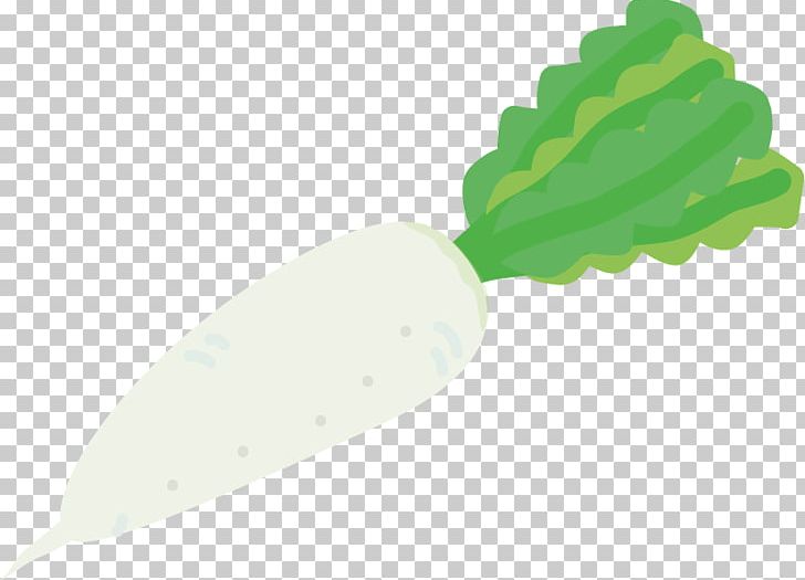 Daikon Ingredient PNG, Clipart, Art, Daikon, Facebook, Facebook Inc, Feedly Free PNG Download