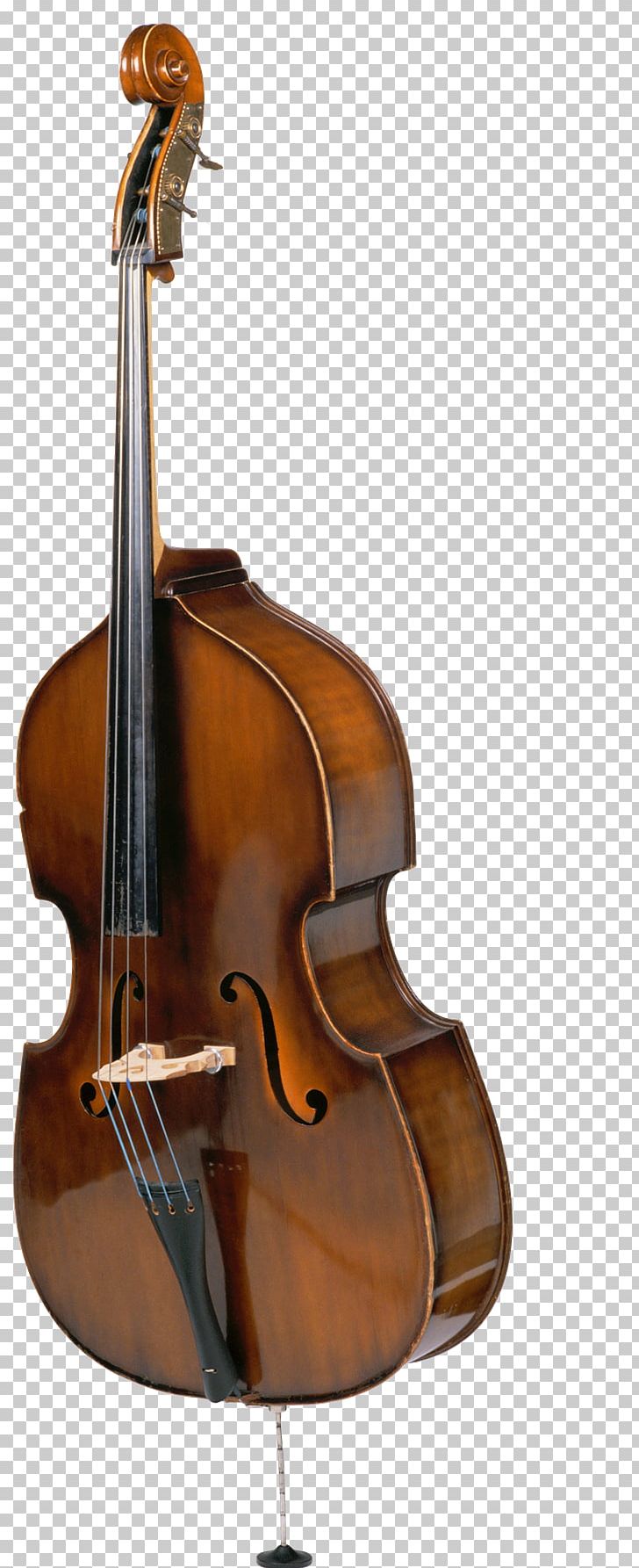 Double Bass Musical Instruments Violin PNG, Clipart, Bass Violin, Cellist, Double Bass, Orchestra, Royaltyfree Free PNG Download