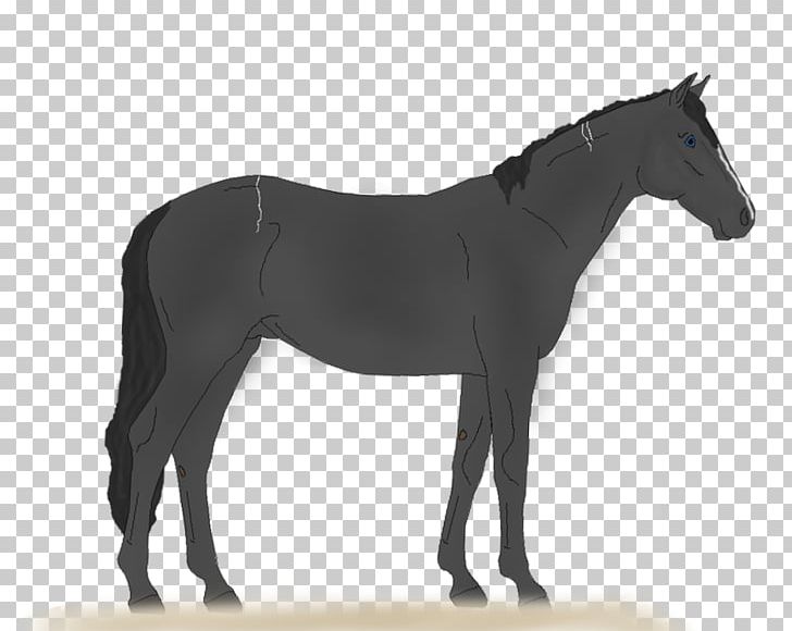 Horse Tack Livestock Breed PNG, Clipart, Animal Figure, Animals, Art, Bit, Breed Free PNG Download
