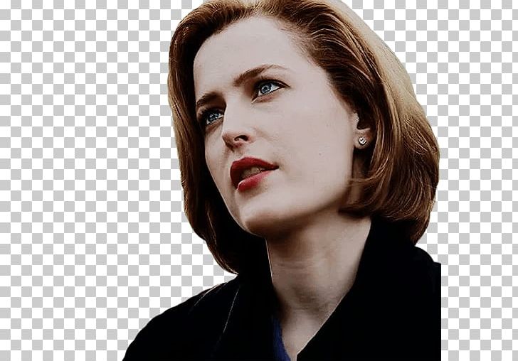 Mädchen Amick Dana Scully Twin Peaks Fox Mulder Mulder And Scully PNG, Clipart, Beauty, Brown Hair, Cheek, Chin, Dana Free PNG Download