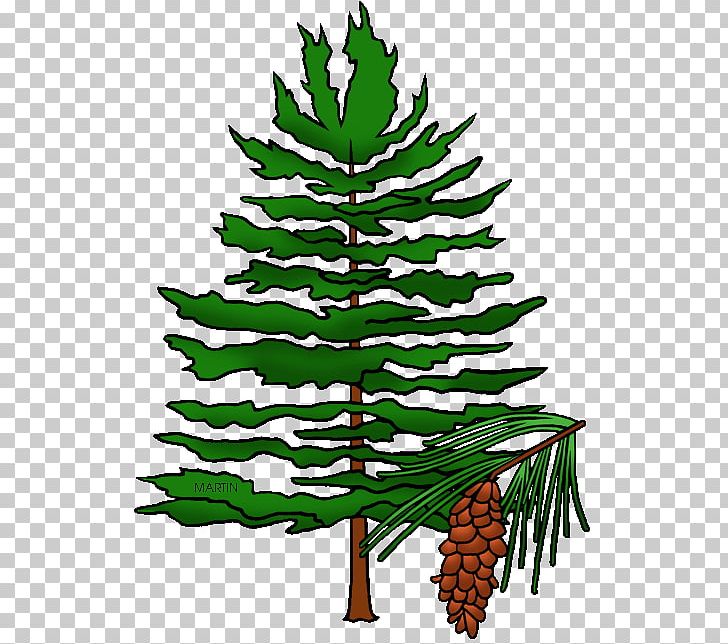 North Carolina Arkansas Maine State Tree PNG, Clipart, Arkansas, Branch, Christmas Decoration, Christmas Ornament, Christmas Tree Free PNG Download