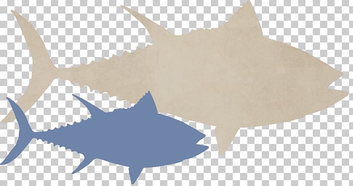 Tiger Shark Fish Requiem Sharks United Marine Underwriters PNG, Clipart, Animal Figure, Atlantic Bluefin Tuna, Biology, Cartilaginous Fish, Fauna Free PNG Download