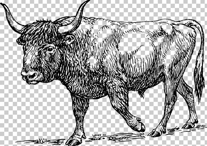 Aurochs Texas Longhorn Bull PNG, Clipart, Animals, Bison, Black And White, Cattle, Cattle Like Mammal Free PNG Download