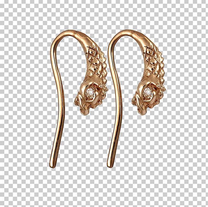 Earring Body Jewellery Metal PNG, Clipart, Body Jewellery, Body Jewelry, Earring, Earrings, Fashion Accessory Free PNG Download