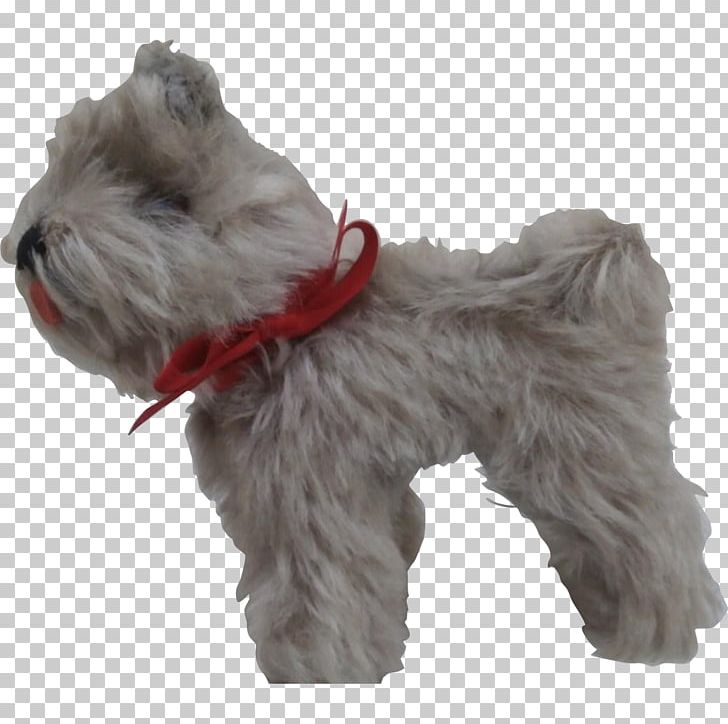 Miniature Schnauzer Soft-coated Wheaten Terrier Schnoodle Tibetan Terrier Companion Dog PNG, Clipart, Breed, Carnivoran, Companion Dog, Dog Breed, Dog Breed Group Free PNG Download
