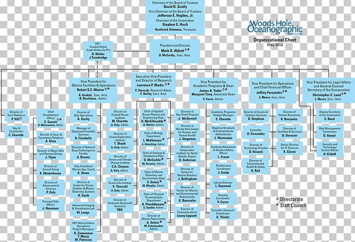 Organizational Chart Organizational Structure Diagram PNG, Clipart, Board Of Directors, Business, Chart, Diagram, Independence Day Free PNG Download