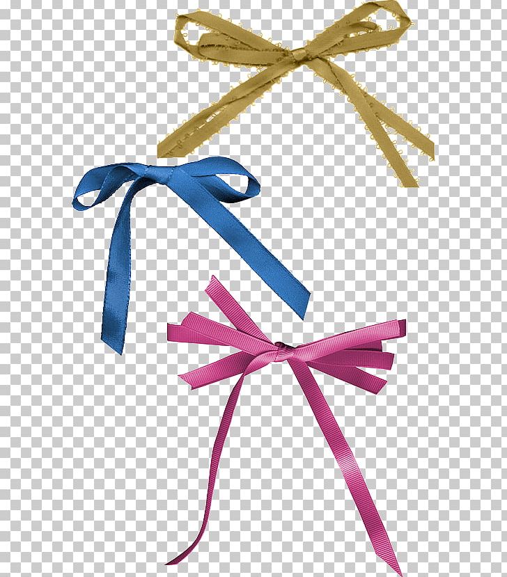Ribbon Gift PNG, Clipart, 15 May, Directory, Fashion Accessory, Gift, Line Free PNG Download