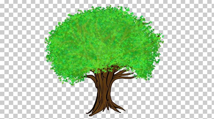Tree Cartoon Forest PNG, Clipart, Animation, Broadcasting, Cartoon, Comics, Family Tree Free PNG Download