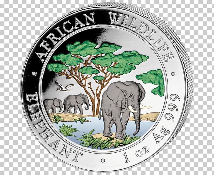 African Elephant Indian Elephant Silver Coin The Coin Shoppe PNG, Clipart, African Elephant, Bullion Coin, Coin, Coin Shoppe, Elephant Free PNG Download