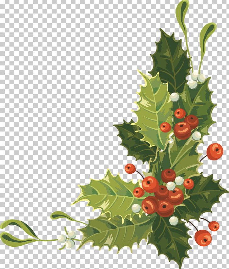 Christmas Card PNG, Clipart, Aquifoliaceae, Aquifoliales, Art, Branch, Christmas Free PNG Download