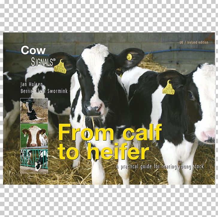 Dairy Cattle Calf E-book PNG, Clipart, Advertising, Agriculture, Book, Calf, Cattle Free PNG Download