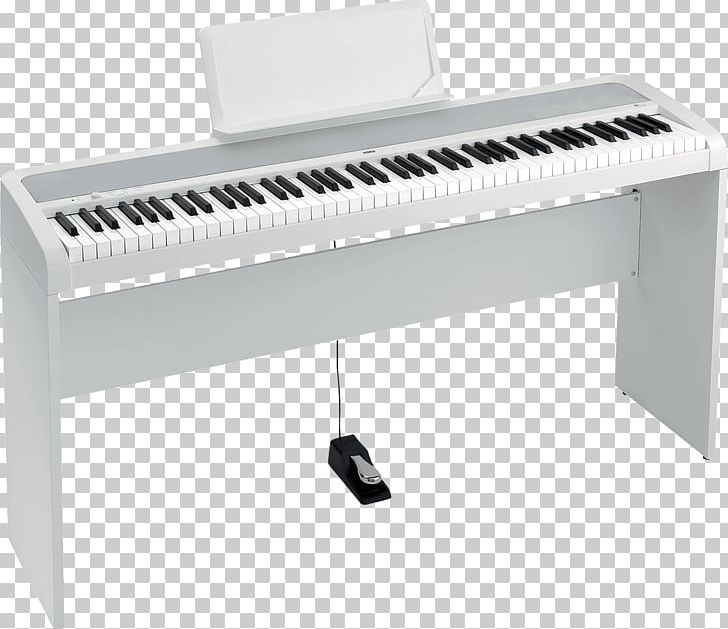 KORG B1SP Digital Piano Stage Piano PNG, Clipart, Action, Celesta, Digital Piano, Furniture, Input Device Free PNG Download