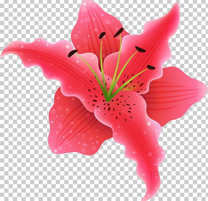 Desktop Flower PNG, Clipart, Beautiful, Beautiful Flower, Blog, Clip Art, Closeup Free PNG Download