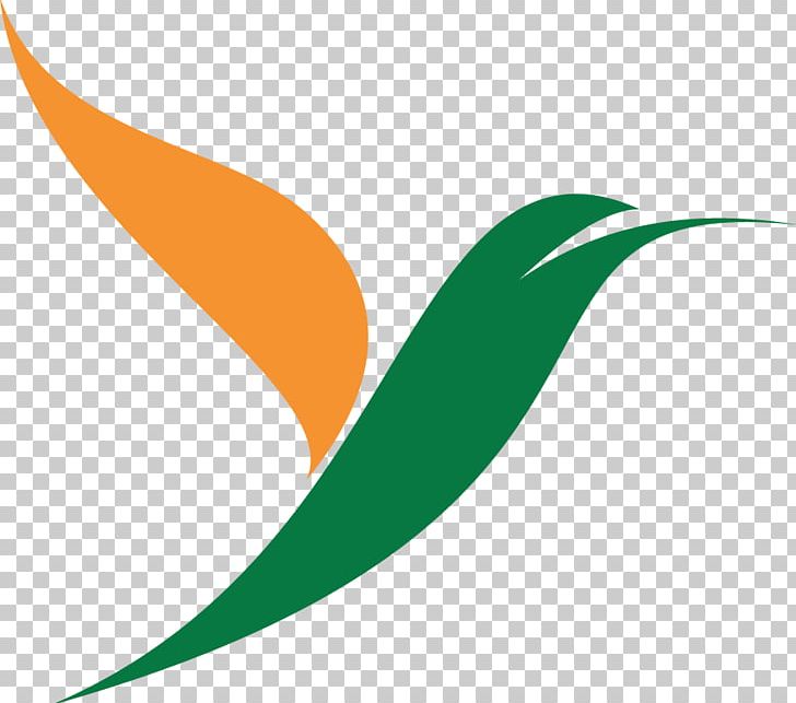Logo Lost PNG, Clipart, Cairo, Computer, Desktop Wallpaper, Gallery5, Green Free PNG Download
