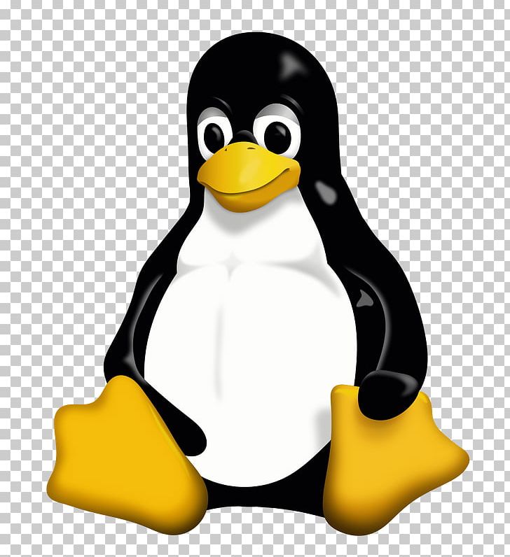 Tux Racer Penguin Linux Unix PNG, Clipart, Animals, Arch Linux, Beak, Bird, Computer Software Free PNG Download