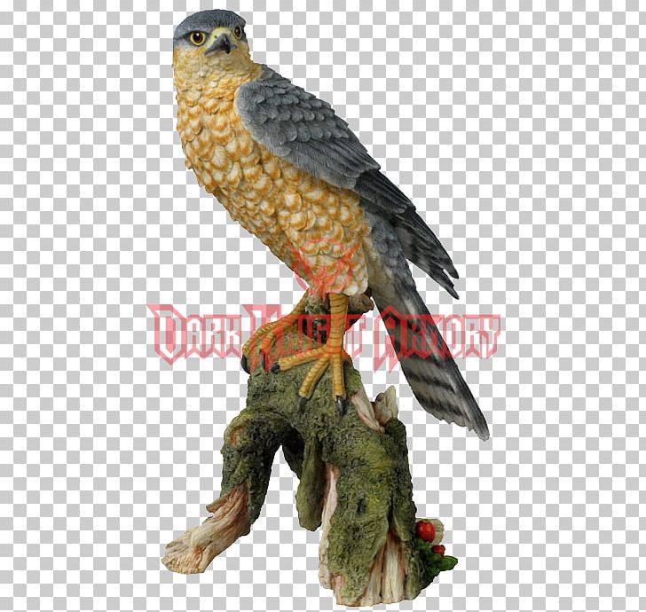 Bird Eurasian Sparrowhawk Sculpture Statue PNG, Clipart, Animal, Beak, Bird, Bird Of Prey, Bronze Sculpture Free PNG Download