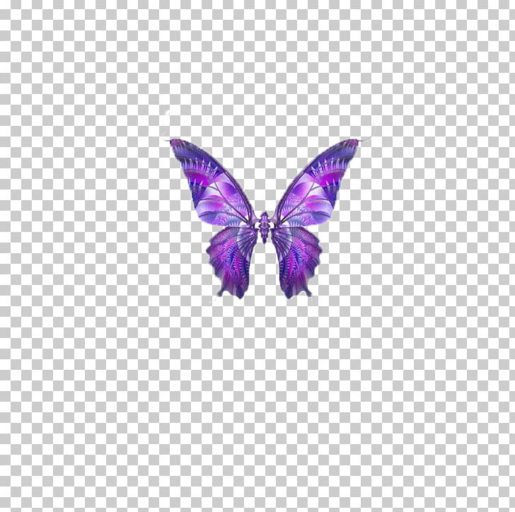 Butterfly Papillon Dog Hemiargus Ceraunus PNG, Clipart, Animal, Animals, Brush Footed Butterfly, Butterflies, Butterfly Group Free PNG Download