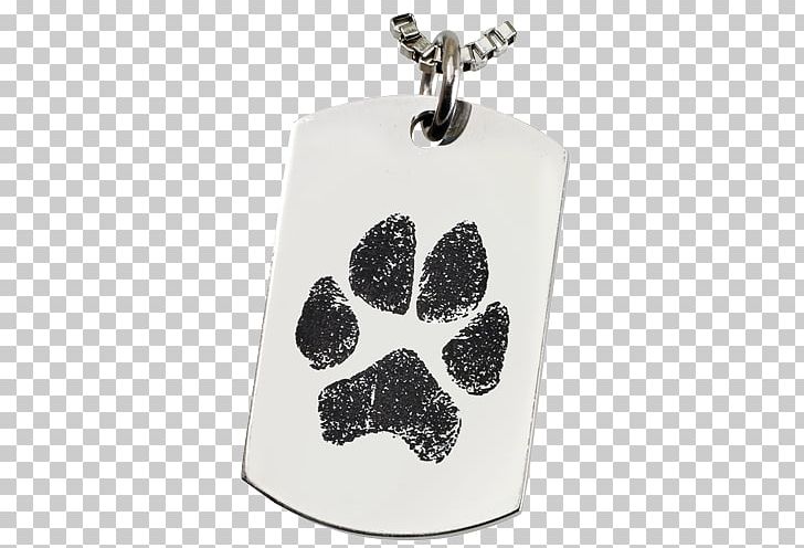 Dog Cat Paw Pet Veterinarian PNG, Clipart, Animal, Animals, Animal Shelter, Animal Track, Cat Free PNG Download