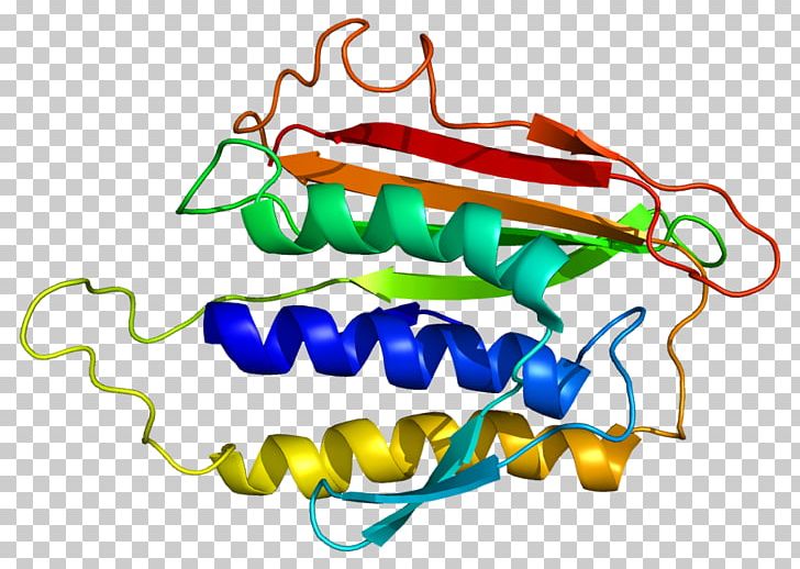 Mitosis MAD2L1 Protein Gene Acetylcholinesterase PNG, Clipart, 2 L, Acetylcholinesterase, Area, Artwork, Cell Free PNG Download