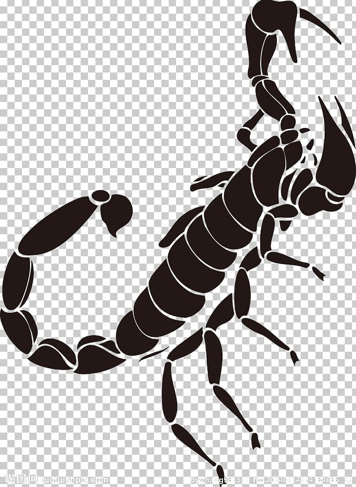 Scorpion Tattoo PNG, Clipart, Arthropod, Background Black, Black, Black Background, Black Hair Free PNG Download
