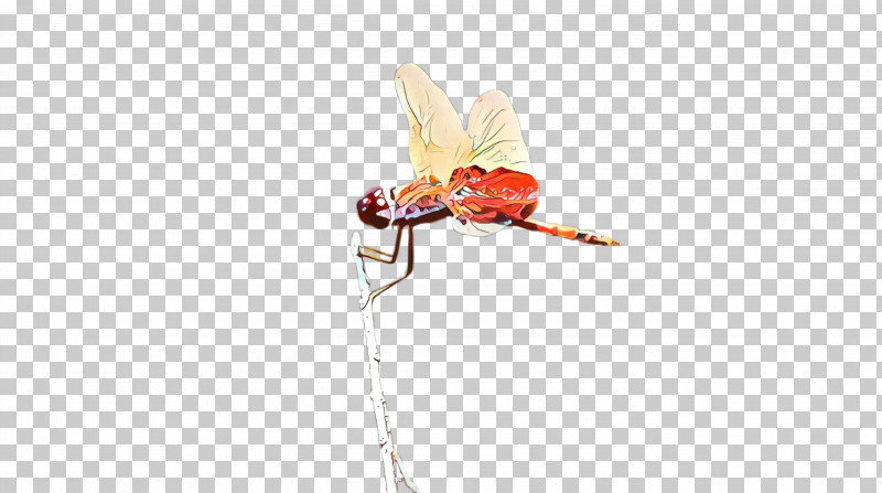 Insect Pest Dragonflies And Damseflies Beige Plant PNG, Clipart, Beige, Dragonflies And Damseflies, Insect, Membranewinged Insect, Pest Free PNG Download