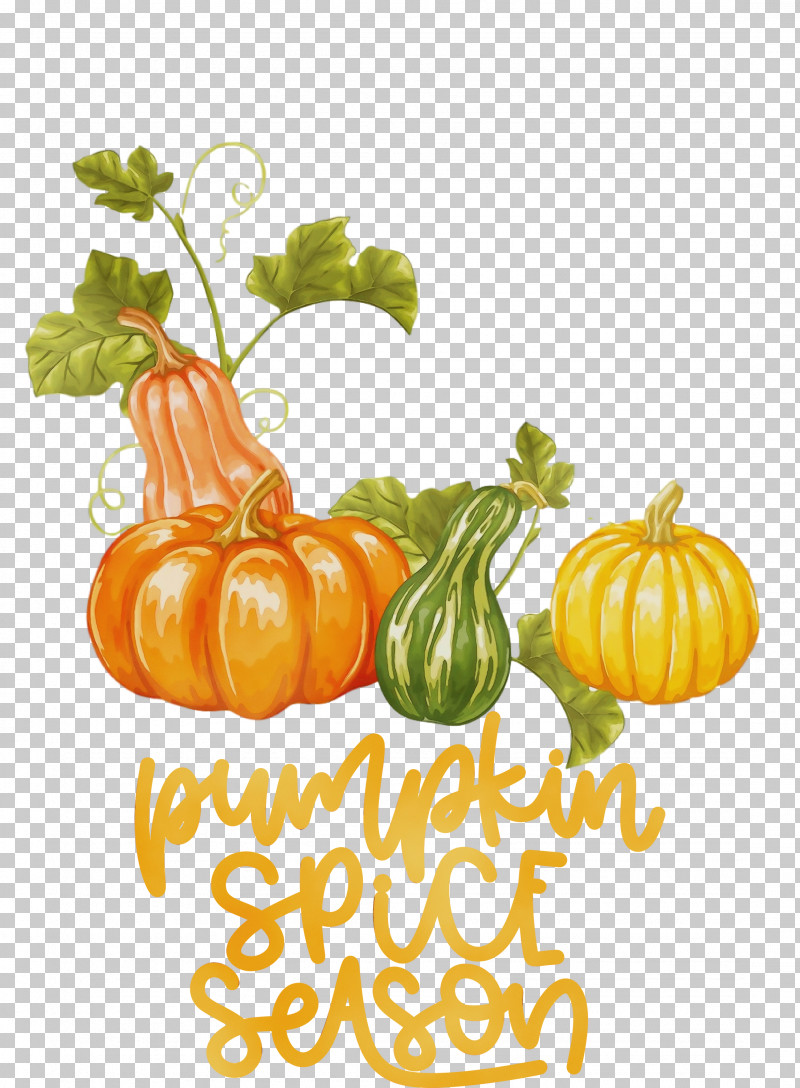Pumpkin PNG, Clipart, Autumn, Drawing, Gourd, Paint, Pumpkin Free PNG Download