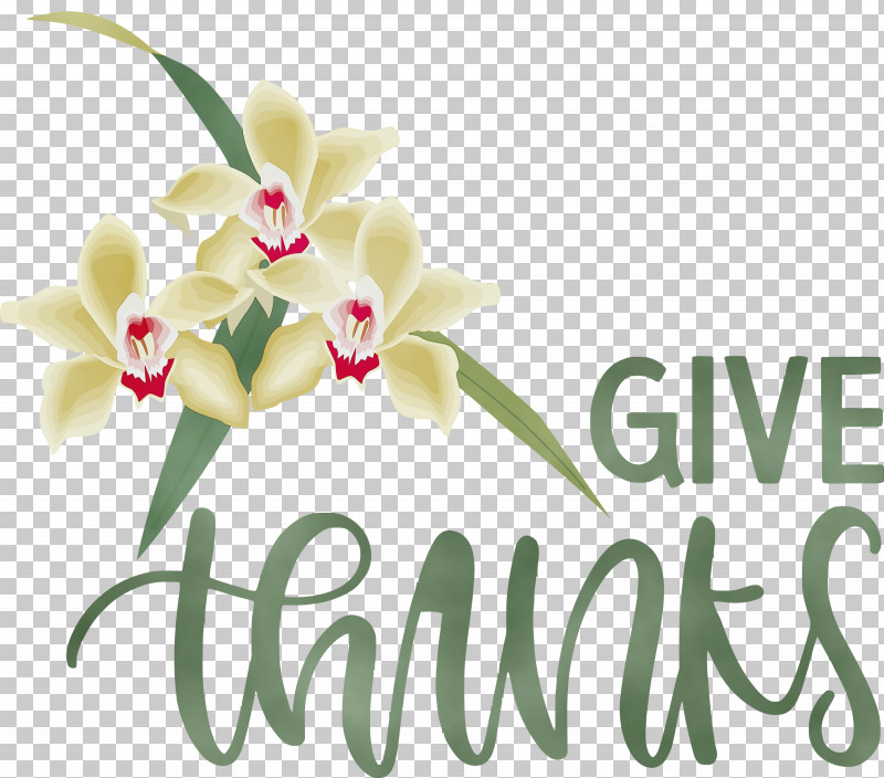 Floral Design PNG, Clipart, Be Thankful, Cut Flowers, Floral Design, Flower, Give Thanks Free PNG Download