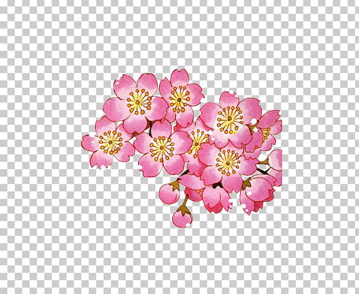 Kami No Manimani Writer Fan Fiction 0 PNG, Clipart, 2016, Blossom, Cherry Blossom, Cut Flowers, Dshk Free PNG Download