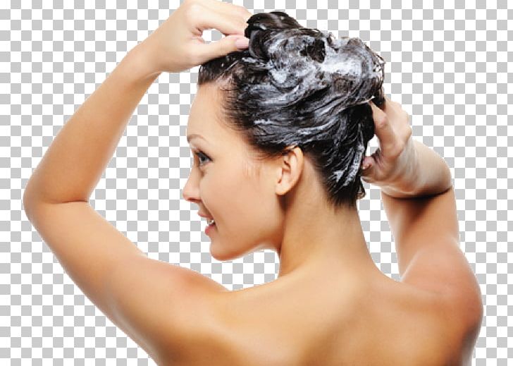 Shampoo Hair Care Hair Washing Hair Conditioner PNG, Clipart, Beauty Parlour, Black Hair, Brown Hair, Bun, Caring Free PNG Download