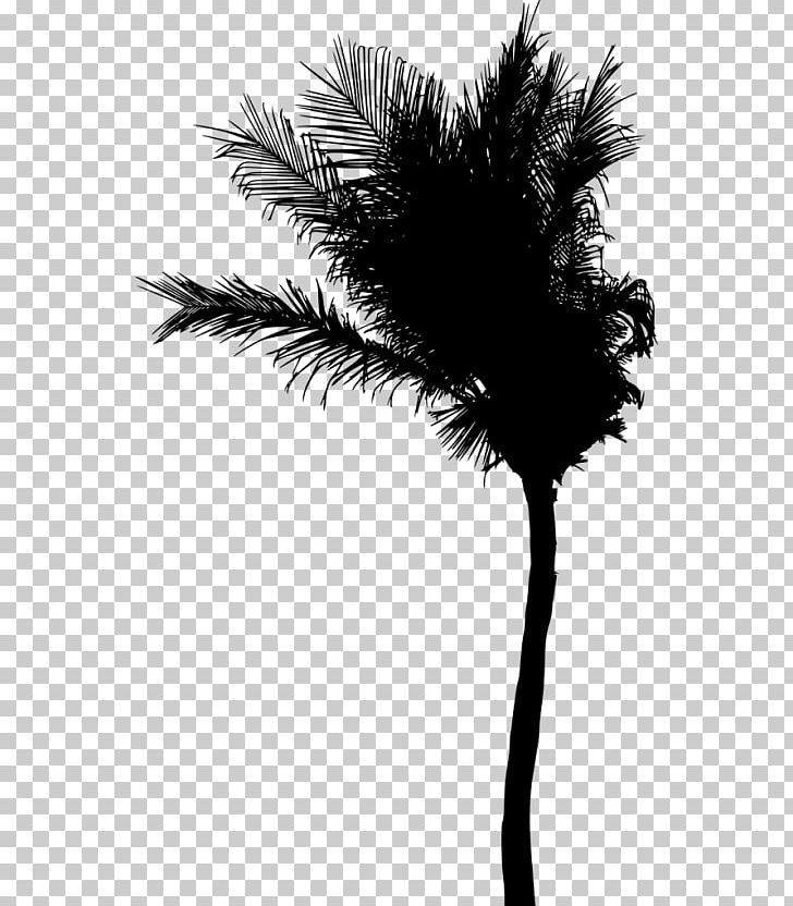 Asian Palmyra Palm Silhouette Arecaceae PNG, Clipart, Animals, Arecaceae, Arecales, Asian Palmyra Palm, Black And White Free PNG Download