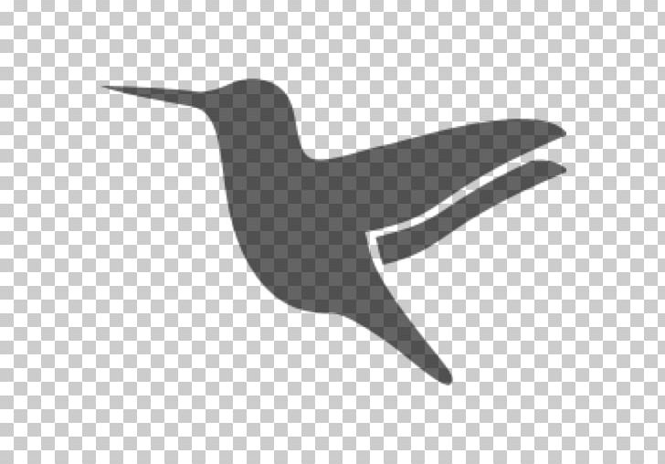 Hummingbird Computer Icons PNG, Clipart, Beak, Bird, Black And White, Computer Icons, Fauna Free PNG Download